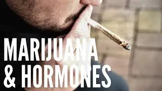 Marijuana & Your Hormones: Cortisol, Estrogen, Prolactin, Thyroid & Testosterone