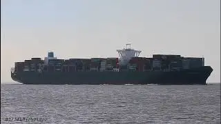 TAMPA TRIUMPH - Shipspotting Germany 🇩🇪 Elbe near Otterndorf - 4K VIDEO