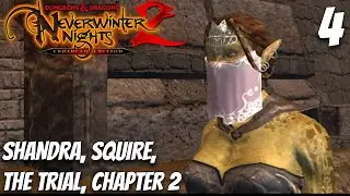 Dungeons & Dragons Neverwinter Nights 2: Enhanced Edition #4