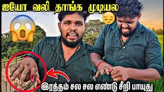 என்னை இரத்த பொலி எடுத்த கரையாக்கன் 😱| voice of Anushan