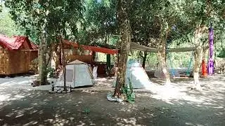V53: WELLNESS IN LIFE ACTIVATING TENTS @JUNGLE AERIAL ARTS LA UNION @wellnessinlifelaunionraw vid