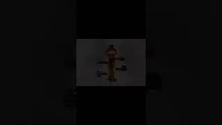 WUQIMUSC Acoustic Cello
