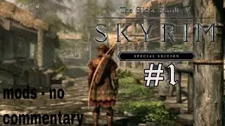 Just playing Skyrim SE: #1 (mod's) - no commentary. (PC)