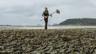 The Relationship Between Seagrass, Nutrients, Algae and Herbivores