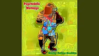 Planet of Funky Monkeys