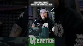 Нормандия - Вина по ассоциации (RT) #rt #byakko #9tn #normandie #guiltbyassociation