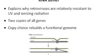 Virology 2013 Lecture #9 - Reverse transcription and integration