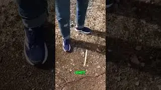 RANDONAUTICA Found Bones! This Creepy Find Shocked Us to Our Core!