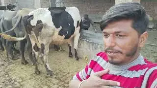 My day routine buhaut Maza Aya sab ne cricket khala 🏏🏏🥰🥰🥰🥰