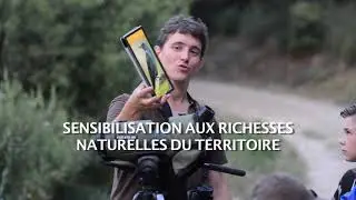 Des oiseaux et des hommes - Projet LIFE des Alpilles - Version courte - Janvier 2018