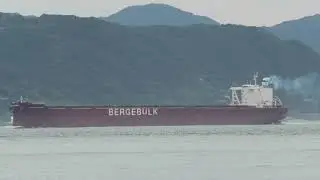 Bulk Carrier BERGE DACHSTEIN 9 2025a