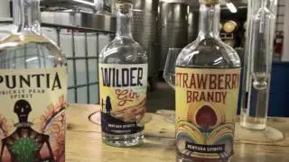 Ventura Spirits