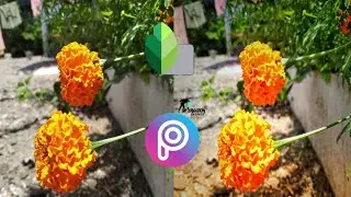 Snapseed and PicsArt photo editing 2k20 tutorial by sp editz