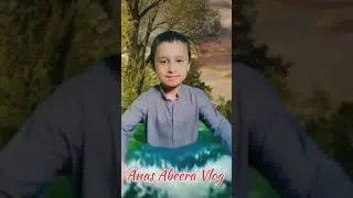 Anas Enjoying Swimming and Water Jumps | Fun Water Play Moments #shorts #fun #funny #trending #trend
