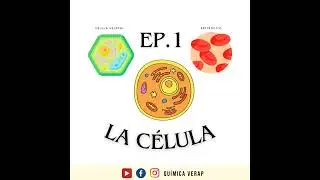 ¿Qué es una célula? - Podcast de Ciencia
