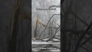 CRAZY Ice Damage in Tennessee!❄️ #weather #icestorm #freezingweather