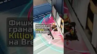 Killjoy's grenade trick on Breeze #VALORANT