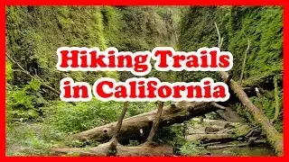 5 Top-Rated Hiking Trails in California | United States Hiking Trails