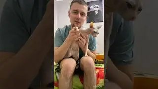 ПОПРОБУЙ СЫГРАТЬ МЕЛОДИЮ ИЗ МАЖОРА СО МНОЙ#рекомендации #cover #музыка #гитара #guitar #топ #music