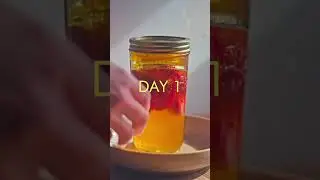 Lacto fermented strawberries and honey