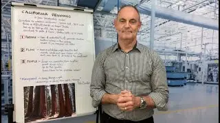 LEAN BITES: California Redwoods-a Lean Leadership Model