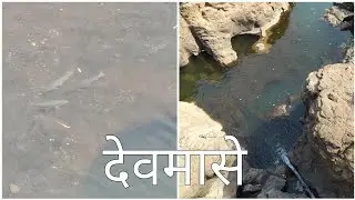 तिळसा येथील देवमासे | #tilasa#wada