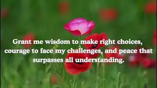 Beautiful and heartfelt Prayer to God 🙏 Subscribe 💕💕♥️💕#faith #peace #blessings#jesus #hope 