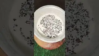 Clove/cardamom tea#clove#cardamombenefits #tea #tealover #tealovers #viral #trending #youtubeshorts