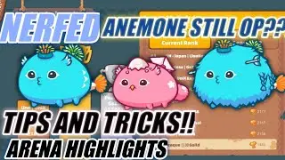 DOUBLE ANEMONE + HARE BIRD (AAB) Axie Infinity Arena Gameplay | Aqua,Aqua,Bird |