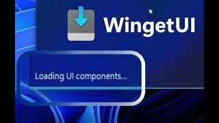 UI for WinGET ; WingetUI - Better than Windows Store