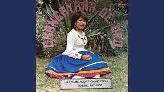 Sea Sincero