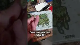 #hashhole #wizkhalifa rolls up a hash hole
