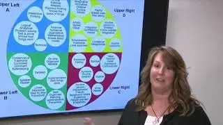 BHECN 2019 Strategic Planning HBDI Debrief Video