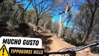 Mucho Gusto - Tippogoree Hills - Georgetown