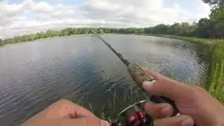 CHICAGO Pond(Axehead Lake) Fishing for BASS