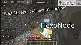 World's best Cheapest and best Hosting (Not Sponsored Video)