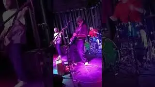 Fish-Head & the Bones #reels #shorts #livemusic #rocknroll #jam #video #music #studio301 #fun