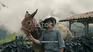 El ELN y las FARC Colombia / historia completa y corta / 903 JT YKIM