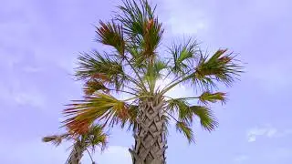 Take A Deep Breath At The Crystal Coast