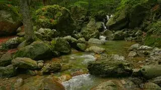Soft Music Along with the murmuring stream, Relaxing