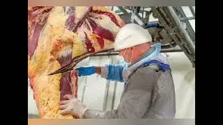 О мираторге