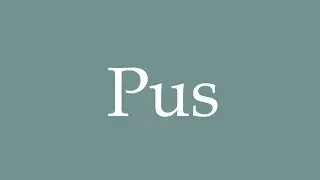 How to Pronounce ''Pus'' Correctly in French