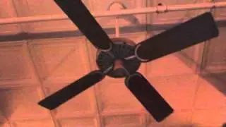 Hunter/Robbins & Myers R-52 Ceiling Fans at Kennywood
