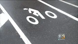 Defenders And Opponents Clash Over City&rsquo;s First Protected Bike Lane