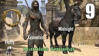Elder Scrolls Online [09] Xeonetea Series - Templar Stamina Imperial - Part 9