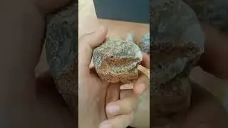 Part26 #crystals #rockhounding #naturalamethyst #minerals #100k #nature #geologist #geology #quartz