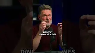 How is evolution like a fairytale?