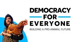 Democracy For Everyone: Introduction to PAF's strategy
