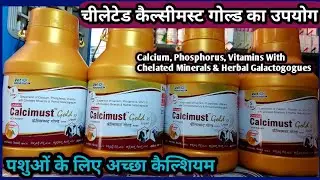 Vet-Calcium:- Calcimust Gold RF||Suspension of Calcium, Phosphorus, Vitamins, With Chelated ka Use