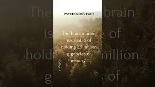 Psychology Fact (1)